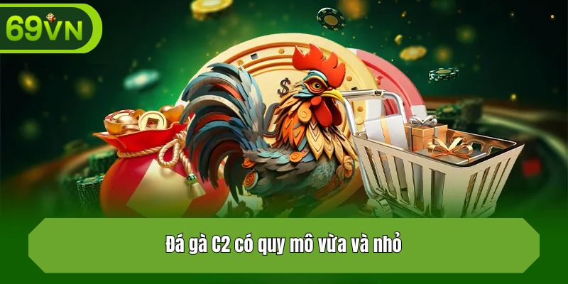 Đá gà C2 có quy mô vừa và nhỏ