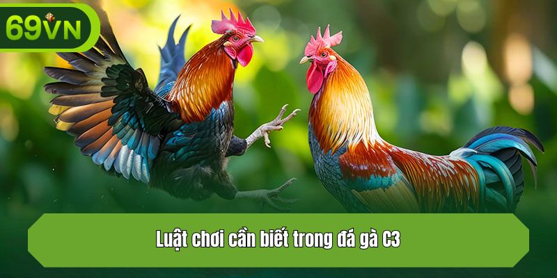 Luật chơi cần biết trong đá gà C3